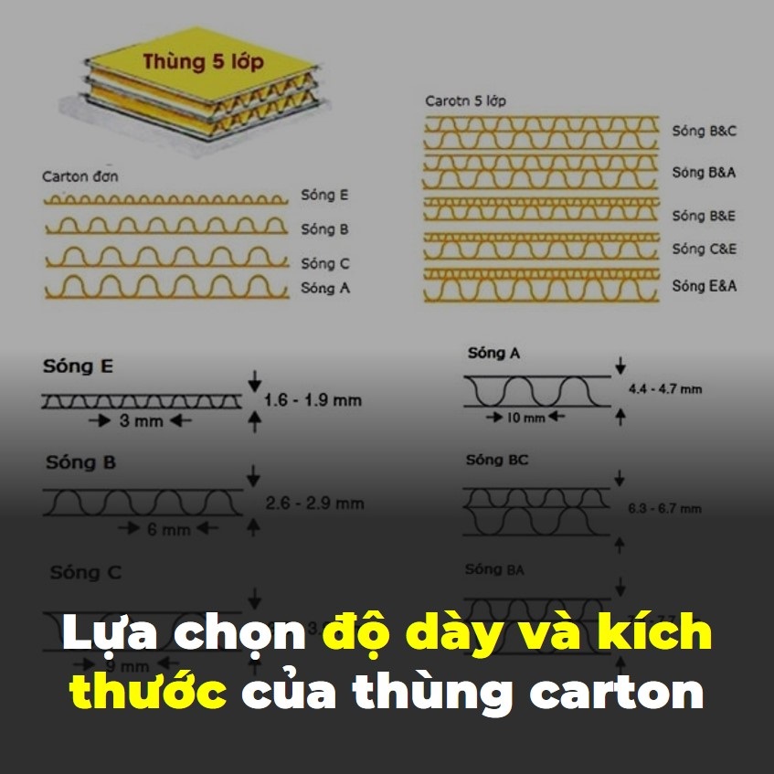 lua chon do day va kich thuoc thung carton
