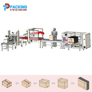 DÂY CHUYỀN ĐÓNG THÙNG CARTON DÁN CẠNH TỰ ĐỘNG TPL-CS06