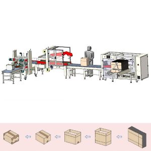 Dây Chuyền Đóng Thùng Carton Dán Cạnh Tự Động TPL-CS06