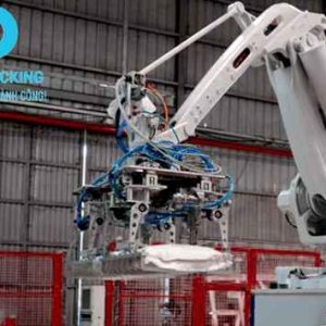 Alternative view of Robot gắp – xếp bao (Palletizing Robot) TP_PR01