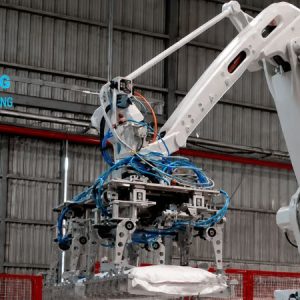 hệ thống robot gắp- xếp bao TP_PR01