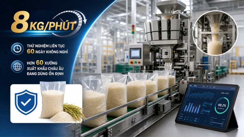 Các Dòng Máy Đóng Gói Bán Tự Động Nổi Bật Tại Tín Phát Packing