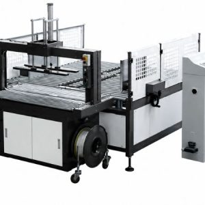 Hệ thống xếp ép và đóng đai tự động TP-LX305B
