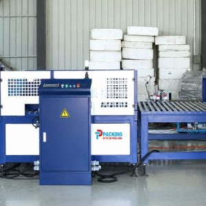 Hệ thống xếp ép và đóng đai tự động TP-LX305B Tín Phát