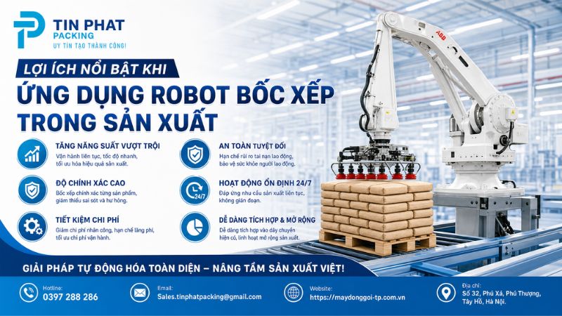 Hướng Dẫn Lựa Chọn Và Triển Khai Hệ Thống Robot Bốc Xếp