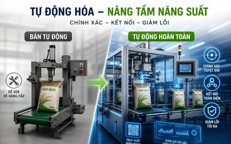 Cấu tạo & Điểm Nhận Diện Cấu tạo & Điểm Nhận Diện
