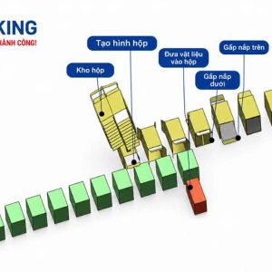 Quy trình máy mở hộp, đóng gói Tín Phát