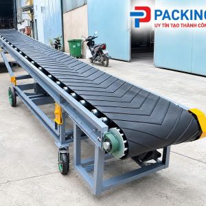 Băng tải belt thẳng