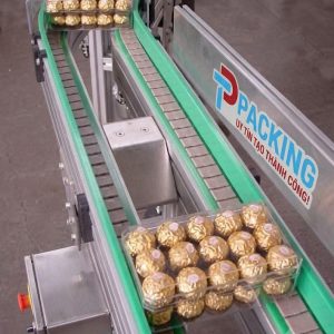 Ứng dụng của băng tải xích nhưa